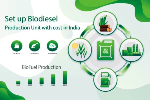 Set up Biodiesel Production Unit with cost in India