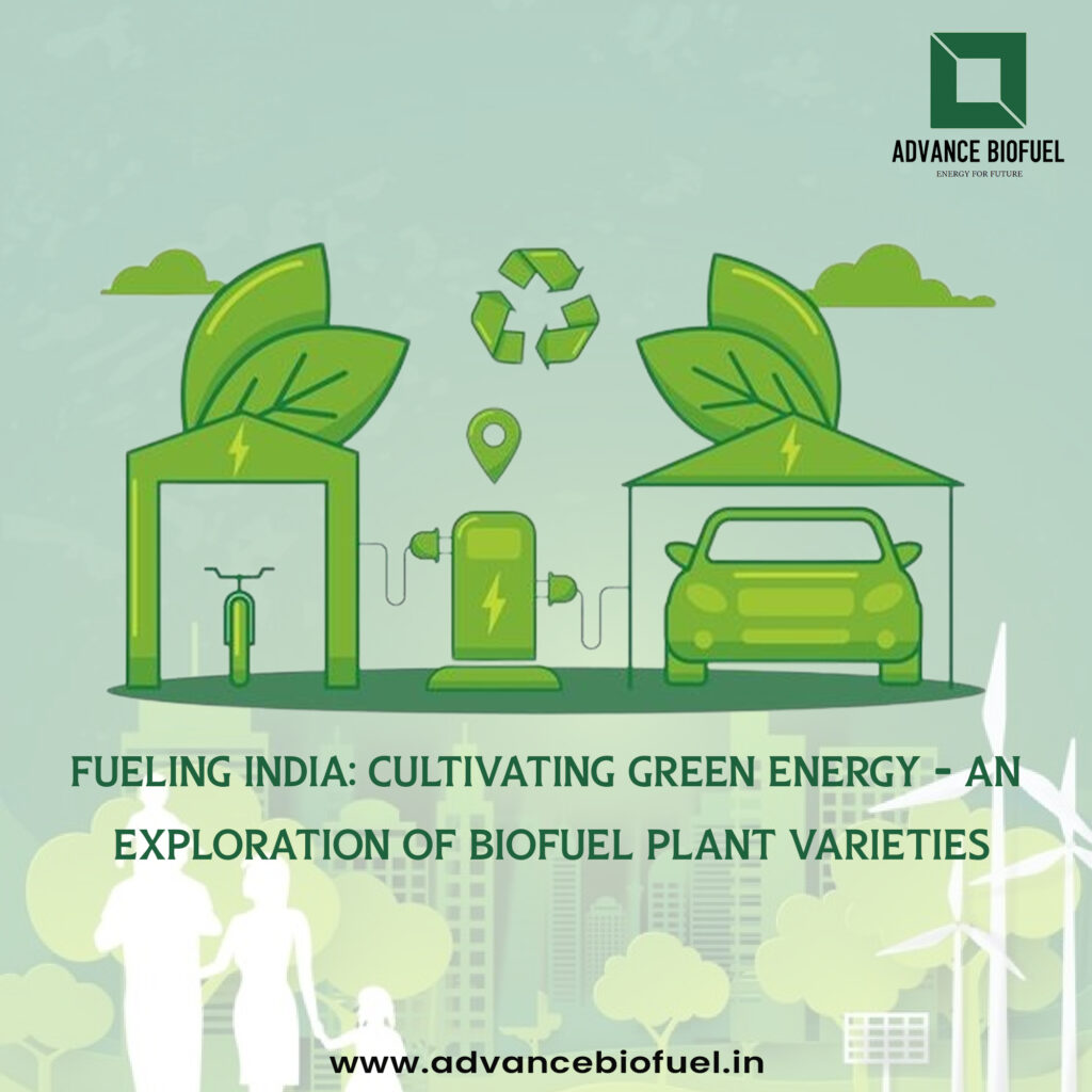 Biofuel Plants for Sustainable Energy