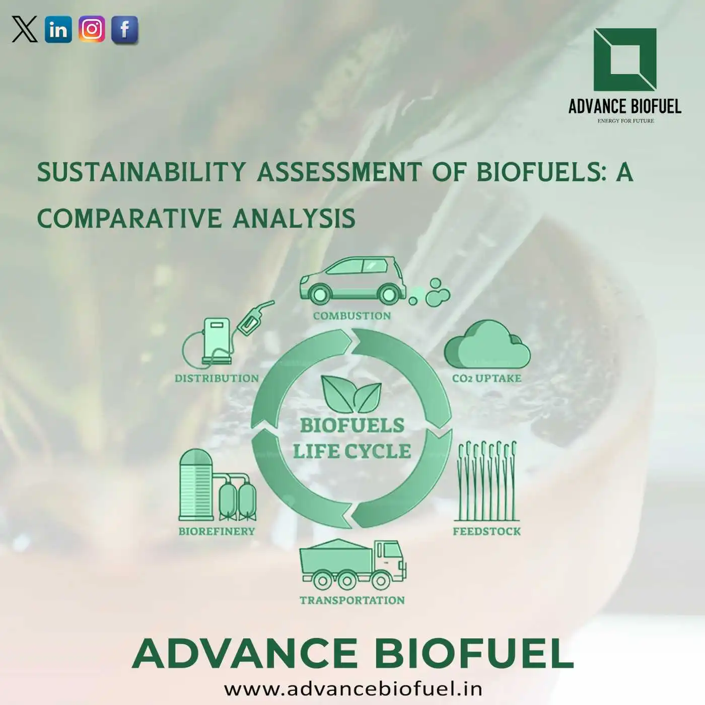 Sustainability Assessment of Biofuels: A Comparative Analysis
