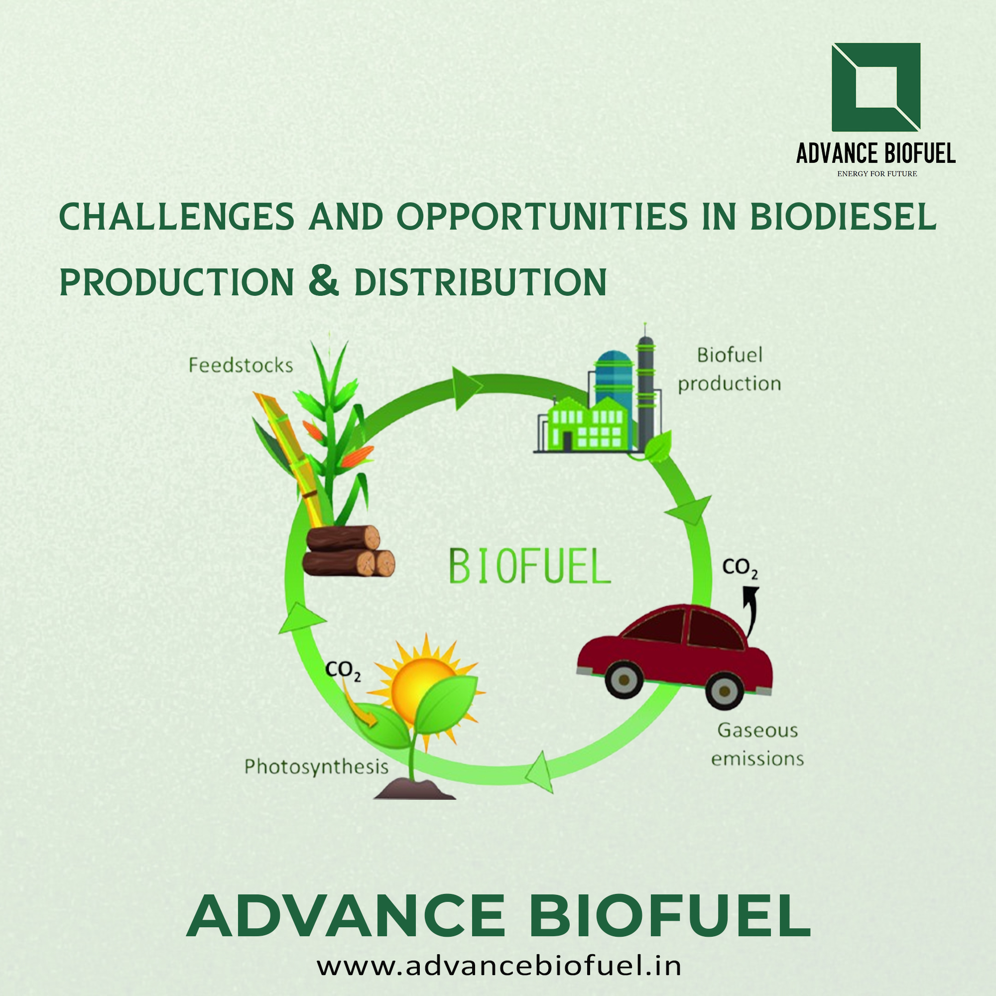 Challenges and Opportunities in Biodiesel Production & Distribution