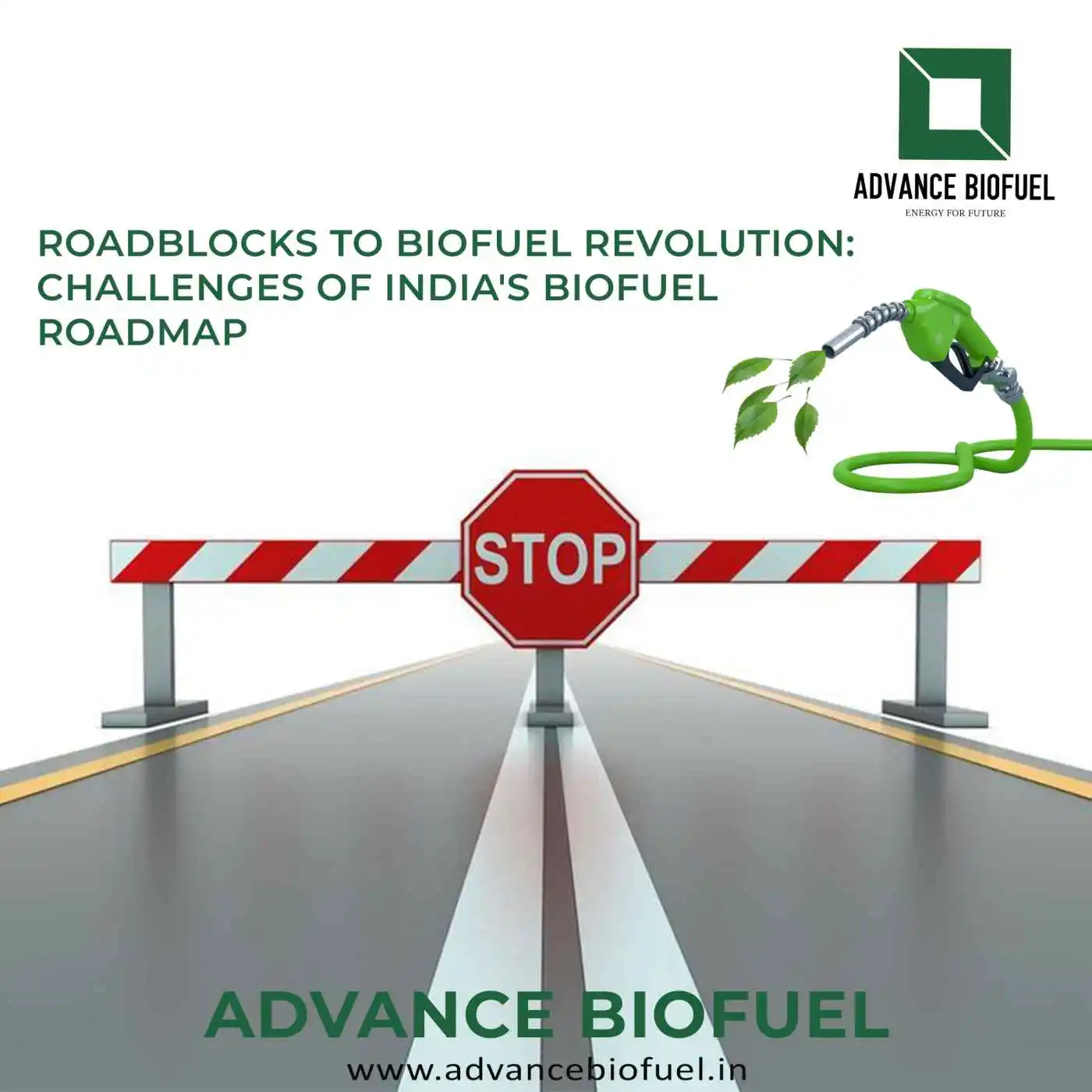 Roadblocks to Biofuel Revolution: Challenges of India’s Biofuel Roadmap