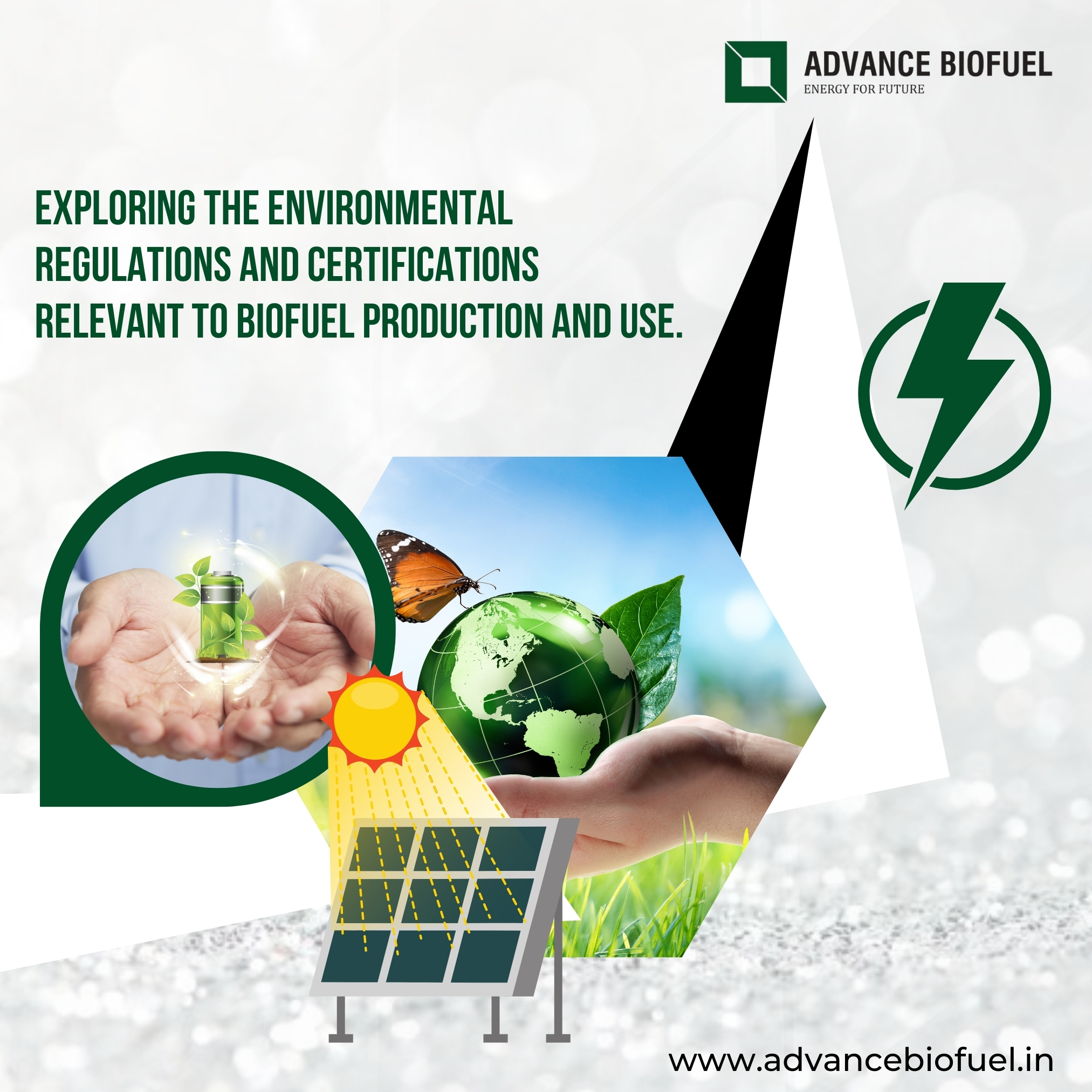 Exploring the environmental regulations and certifications relevant to biofuel production and use