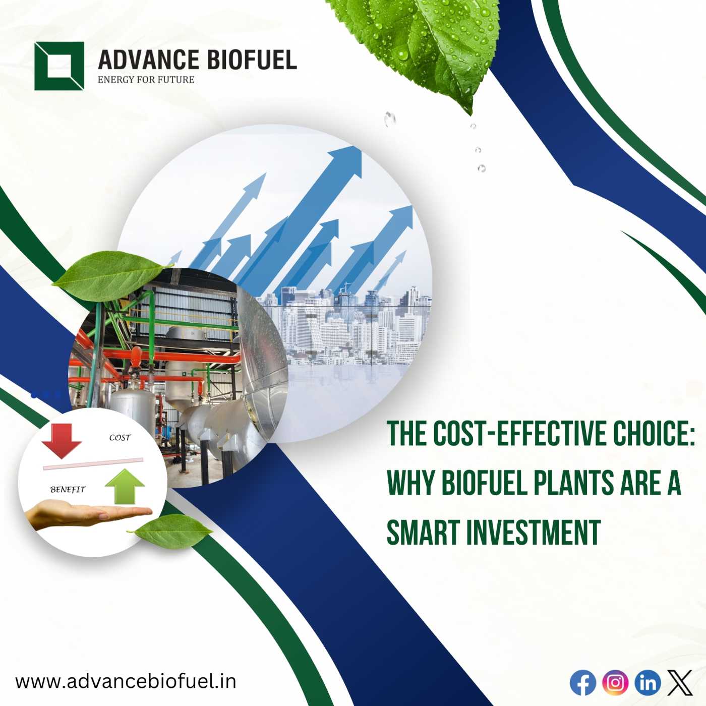 The Cost-Effective Choice: Why Biofuel Plants Are a Smart Investment