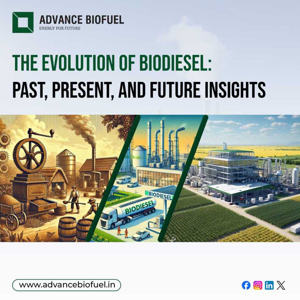 The Evolution of Biodiesel: Past, Present, and Future Insights