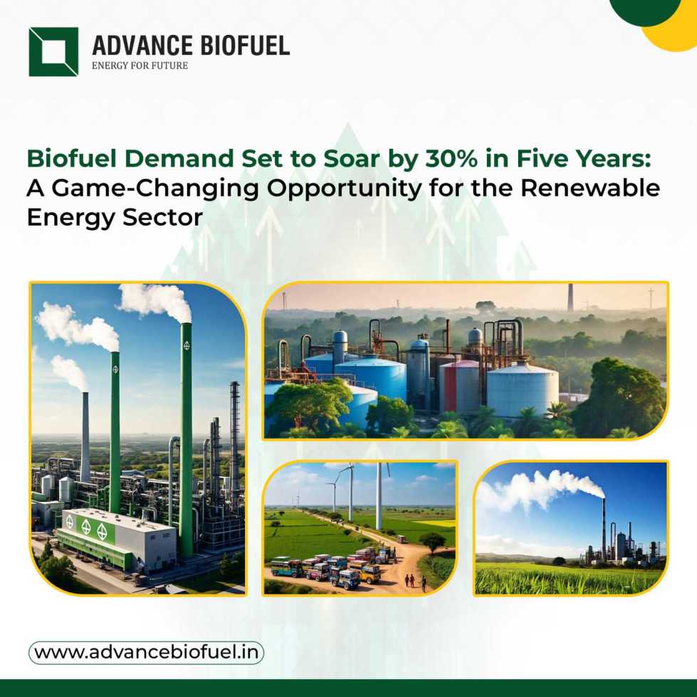 Biofuel Demand Set to Soar by 30% in Five Years: A Game-Changing Opportunity for the Renewable Energy Sector