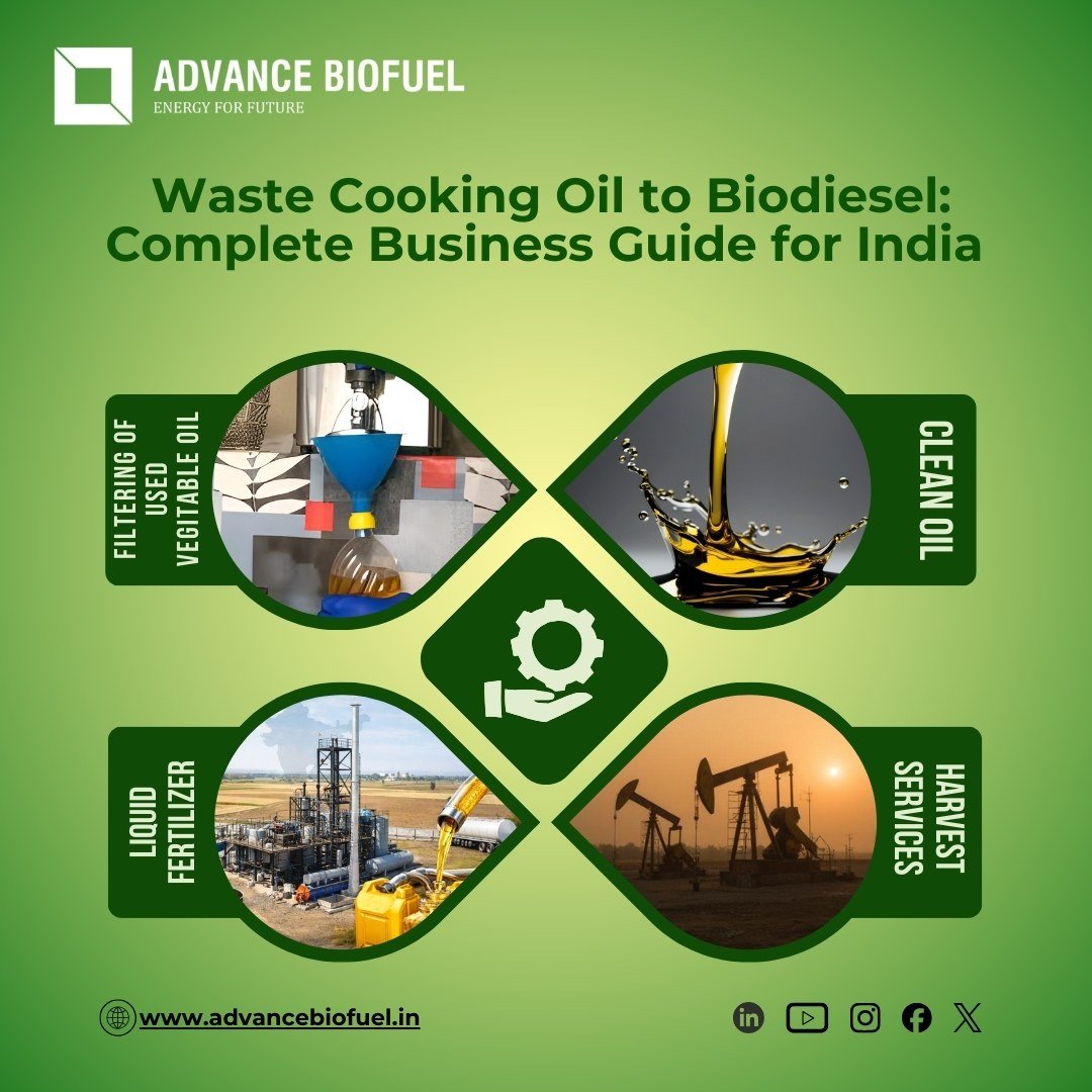 Waste Cooking Oil to Biodiesel: Complete Business Guide for India